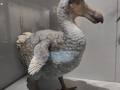 -杨梅红艺术教育(万象城教学中心)