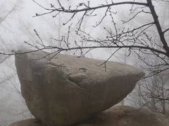 -崂山巨峰游览区