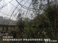 -野象谷景区
