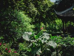 -成都杜甫草堂博物馆