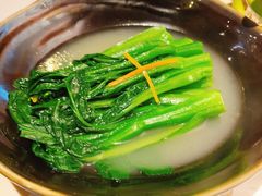 高汤富春菜心-点都德·毕德寮