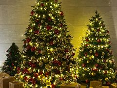 -博林天瑞喜来登酒店·西丽尚膳