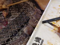 -唐力九头鸟烧烤·罗田吊锅(西云楼店)
