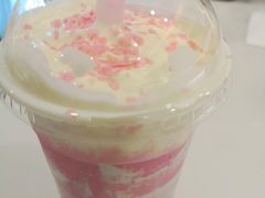 -飞行喵MR PILOT|猫舍·猫咖(静安大融城店)