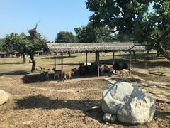 -西安秦岭野生动物园