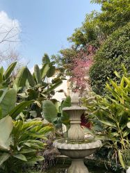 -莲生母婴月子中心(清水河公园店)