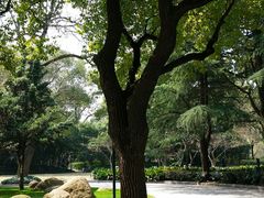 -上海市龙华烈士陵园