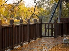 -八大山人梅湖景区