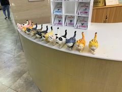 -美联众合动物医院·24h转诊中心