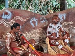 -热带雨林自然公园