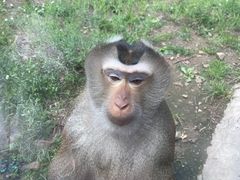 -哈尔滨北方森林动物园