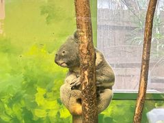 -广州长隆野生动物世界