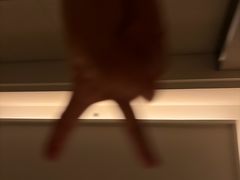-手佳·水疗汇(嘉益店)