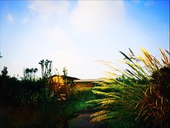 -白鹭湾湿地公园