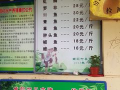 -双新垂钓园