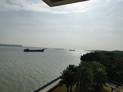 -大湾区中央湿地公园