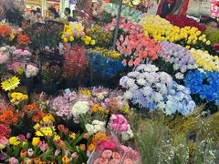 -越秀西湖花市(广州城市广场花卉店)