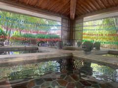 -中家鑫园温泉酒店鑫悦汤泉