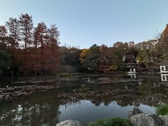 -山外山菜馆(玉泉路店)