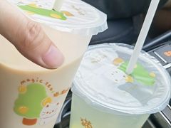 -猫的魔法密林(衣裳街店)