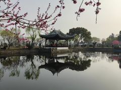 -无锡蠡湖国家湿地公园-蠡园
