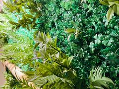 -耳艺采耳·足疗·按摩SPA(市桥店)