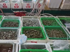 -外伶仃岛海鲜市场
