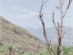 -北京上方山国家森林公园