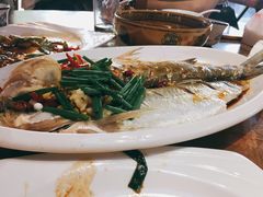 乌镇白水鱼-印象江南(东栅店)