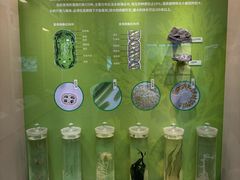 -杭州植物园