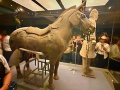 -秦始皇帝陵博物院-丽山园