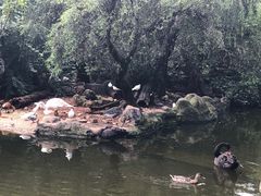 -昆明动物园