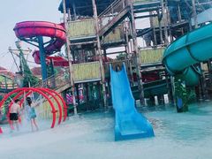 -重庆海昌加勒比海水世界