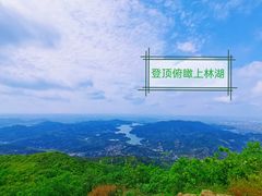 -宁波杭州湾国家湿地公园