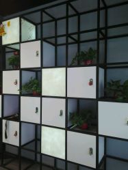 -MAGIC米几发型设计·羊毛卷