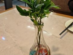 -船歌·鱼水饺青岛菜(石老人店)