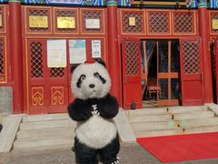 -眉州东坡(亚运村店)