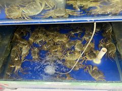 -阳澄湖大闸蟹·琼灵阁牌品牌连锁(吴中总店)