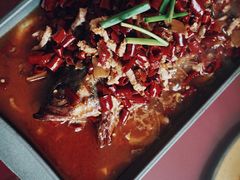 -臭桂鱼儿特色餐厅(朝晖七小区北区店)