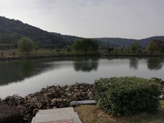 -龙寺生态园