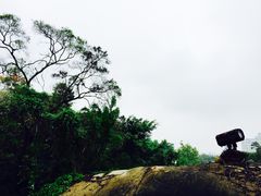 -鸿山公园