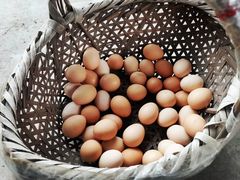 -马陆小张葡萄园农家乐