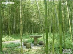 -山沟沟景区
