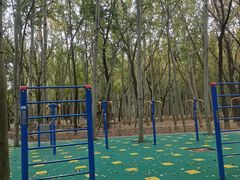 -森林公园(尖草坪区)