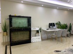 -VE专注问题肌·赛诺龙&科学美肤中心