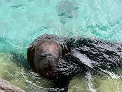 -珠海长隆海洋王国