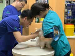 -联合动物医院(光谷诊疗中心)