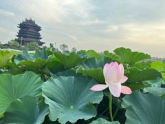 -重元寺