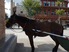 -北川羌城旅游区