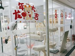 -爱洗澡的猫(天河路店)